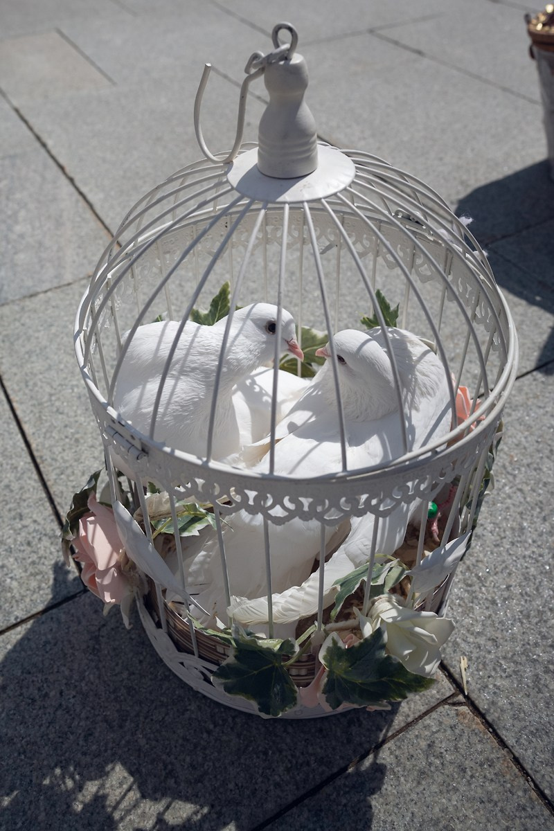 Венчание в главном Храме. Свадебный и репортажный фотограф в Москве и Московской области