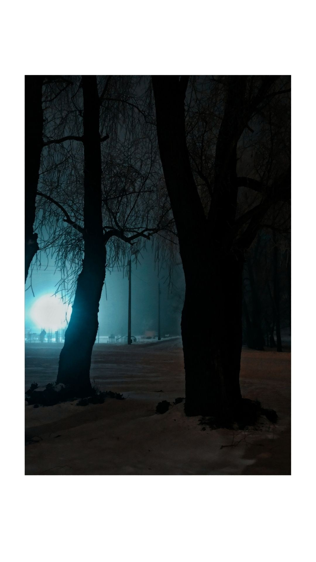 Зима по-сибирски. Главная