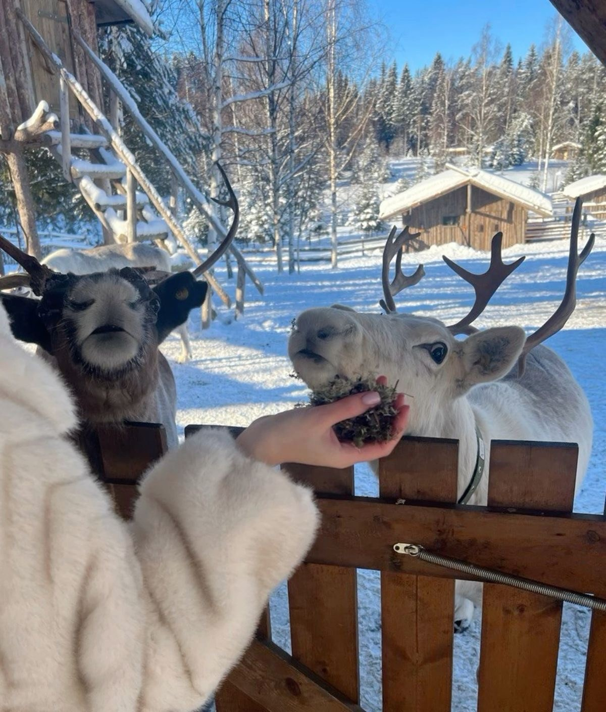 Карелия. YOUA TOURS