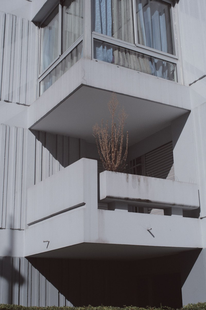 Showside. Eduard Savosin | Documentary & Portrait Photographer in Paris