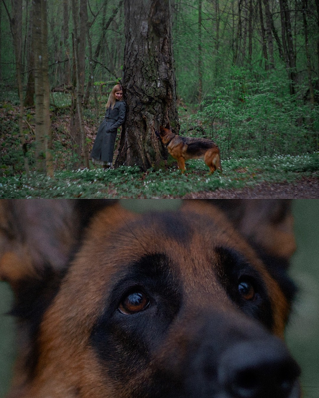 Евгения и Берта. Фотограф анималист в Москве и Санкт-Петербурге Свиридова Анна