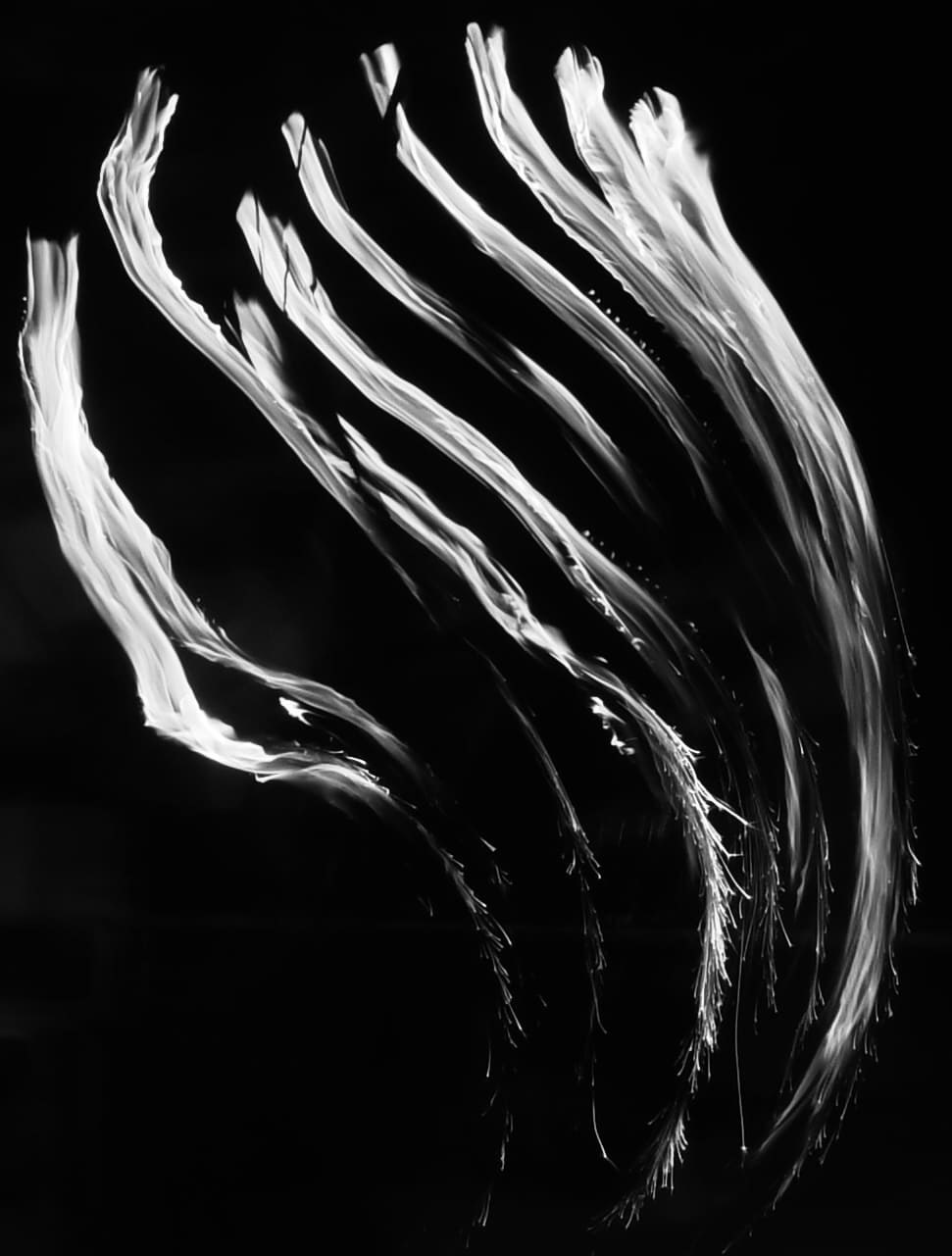 Калининград «ОЧЕРТАНИЕ РЕАЛЬНОСТИ». ARTEXPOPHOTO