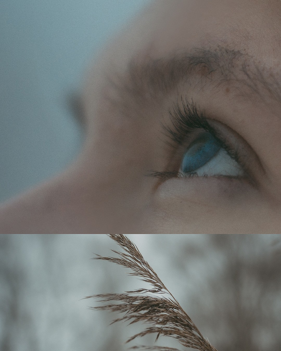 Альбина и Амелия. Фотограф анималист в Москве и Санкт-Петербурге Свиридова Анна