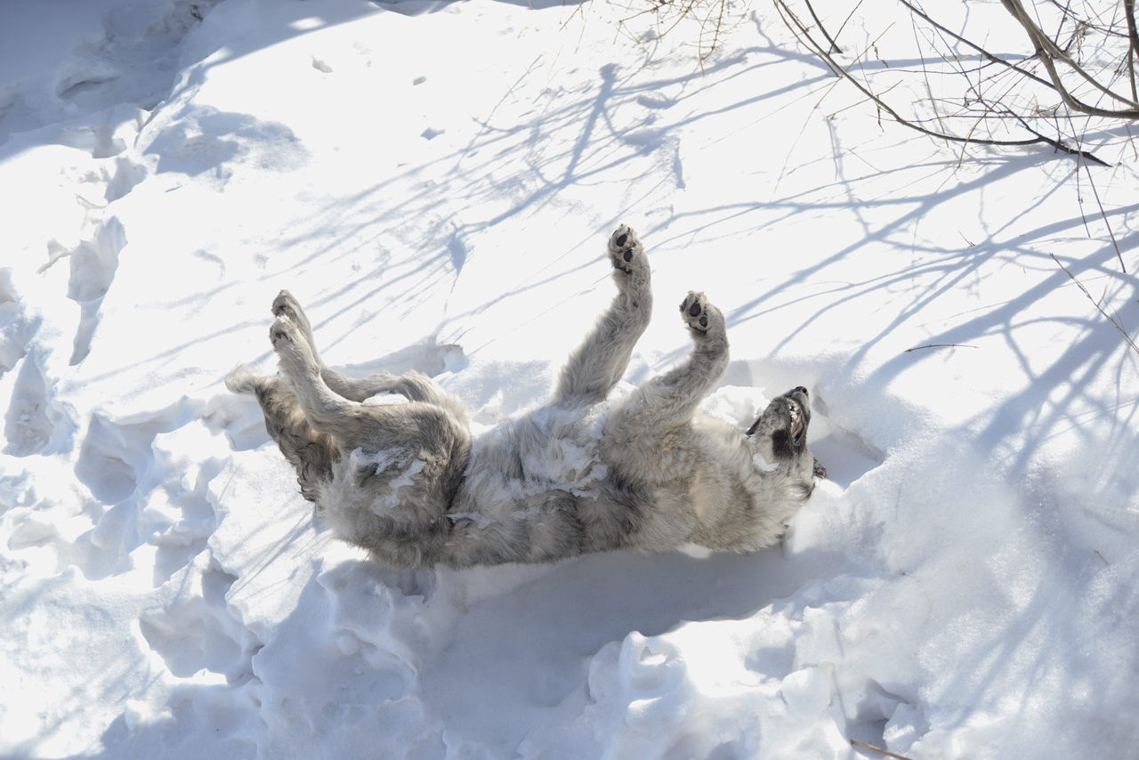 Фотожурналистика. Дарья Пянзина | фотограф |междисциплинарная художница