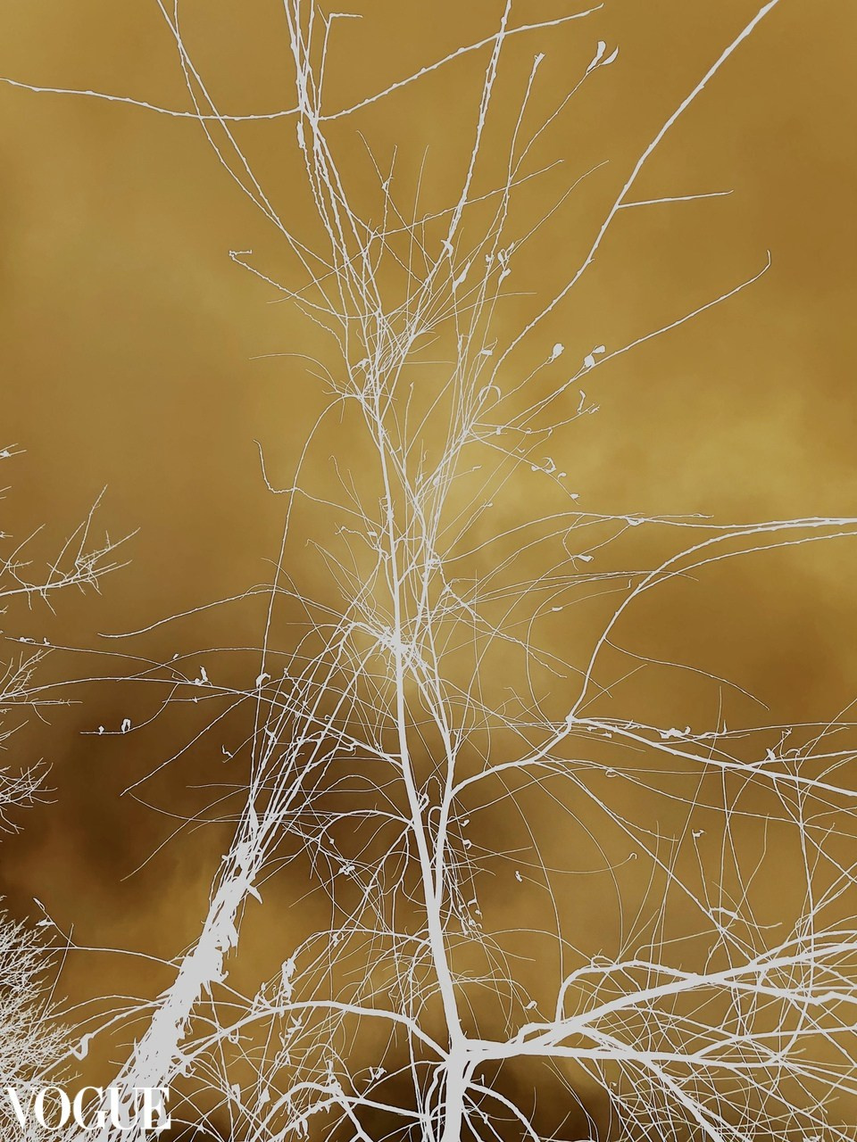 Галерея 1. Наталья Жукова. Курсы фотографии