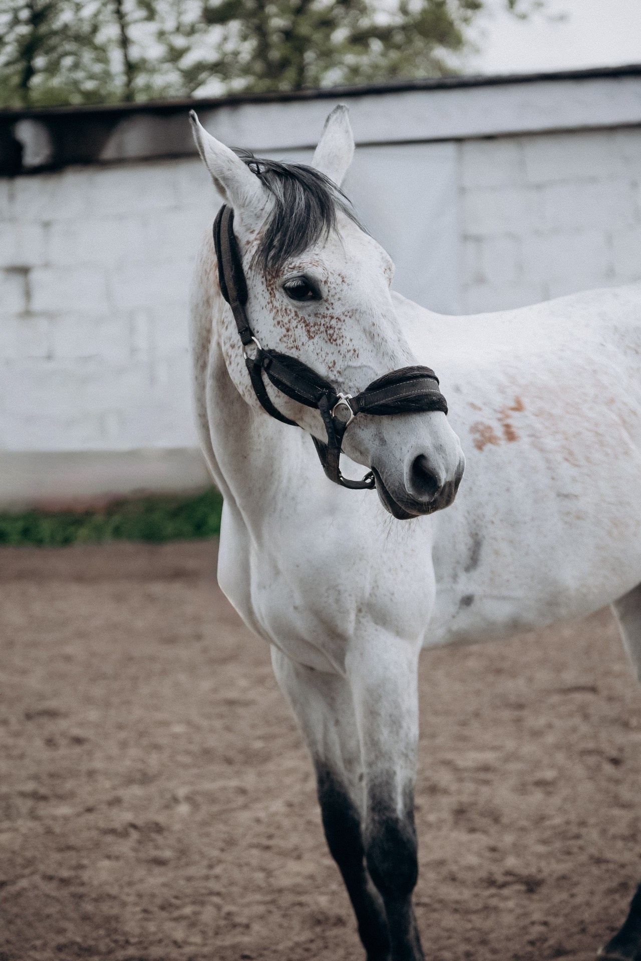 Отзывы. Ваш фотограф в Москве и области Юлия