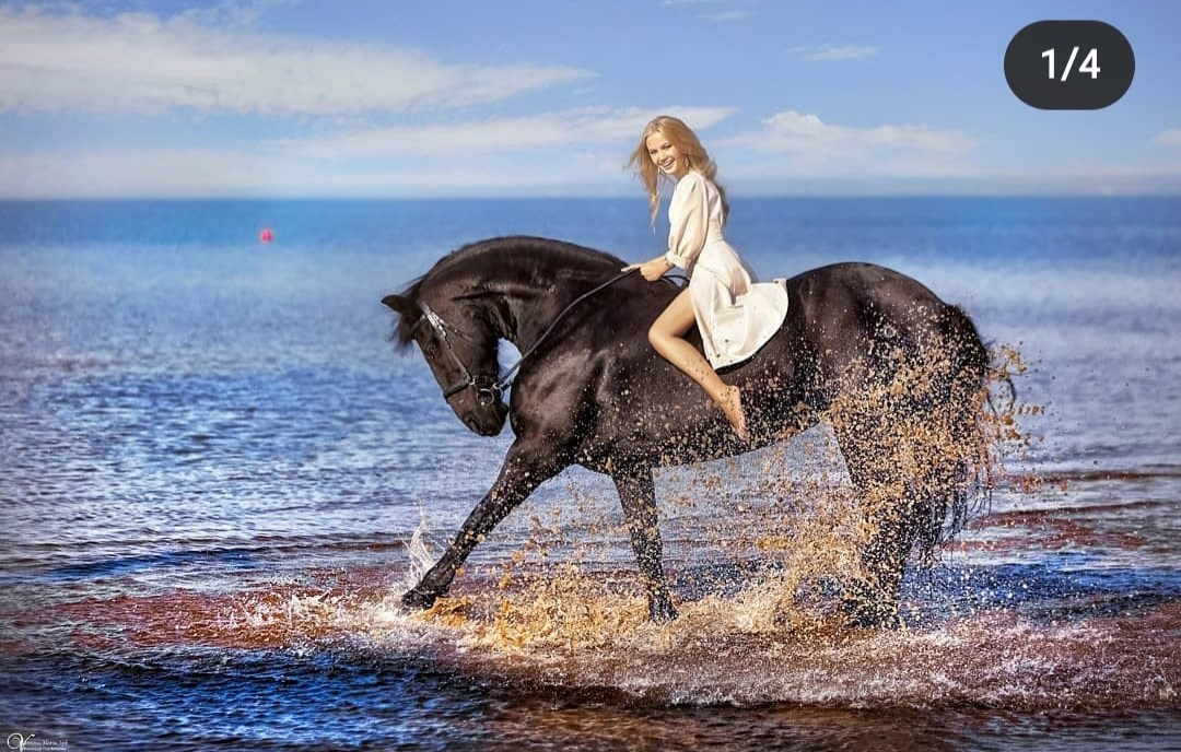 Фотосессии с лошадьми летом. Фотограф женский и мужской портрет Санкт-Петербург
