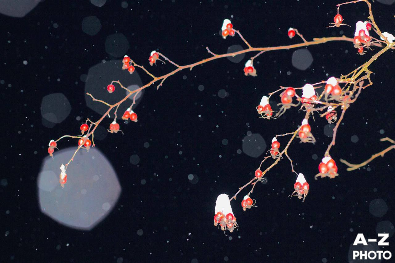 #ФОТОНЕДЕЛИ 12.01.2026. Женский семейный фотограф Тула Москва Захарова Анна