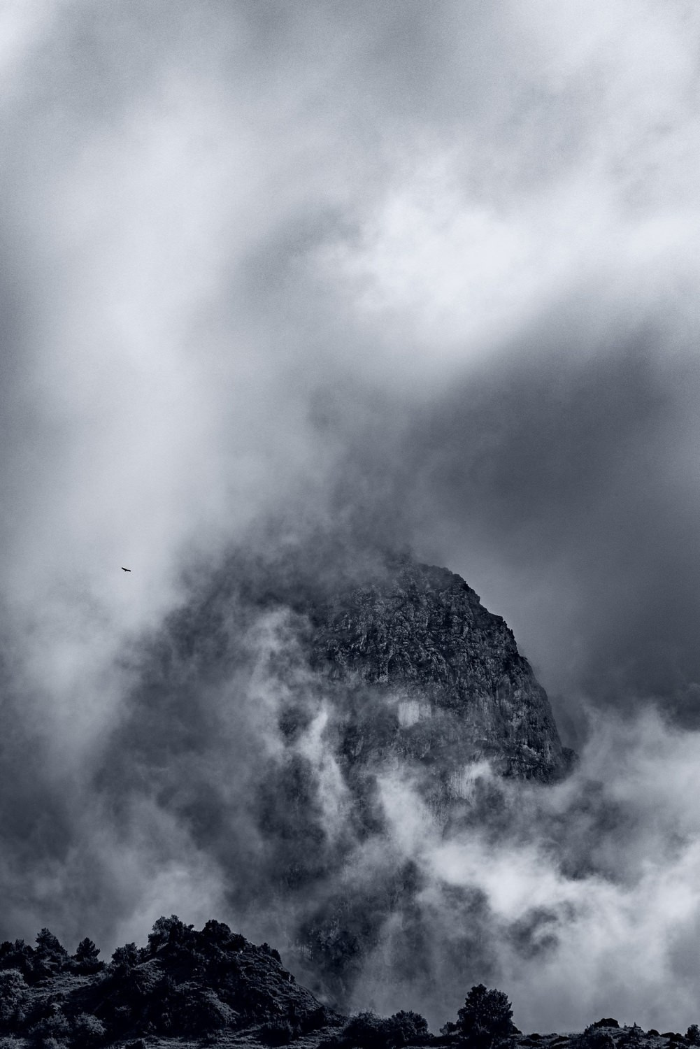 Monochrome — personal project of photographer Vadim Sherbakov. Vadim Sherbakov Portfolio