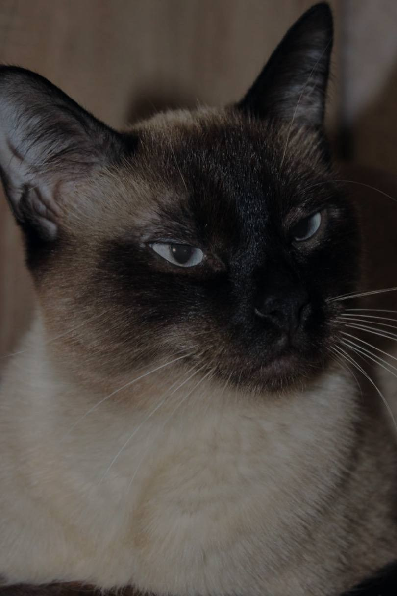 Lifestyle. ДАРЬЯ | ПОРТРЕТНЫЙ ФОТОГРАФ | КОНТЕНТ — ФОТОГРАФ | ЕКАТЕРИНБУРГ