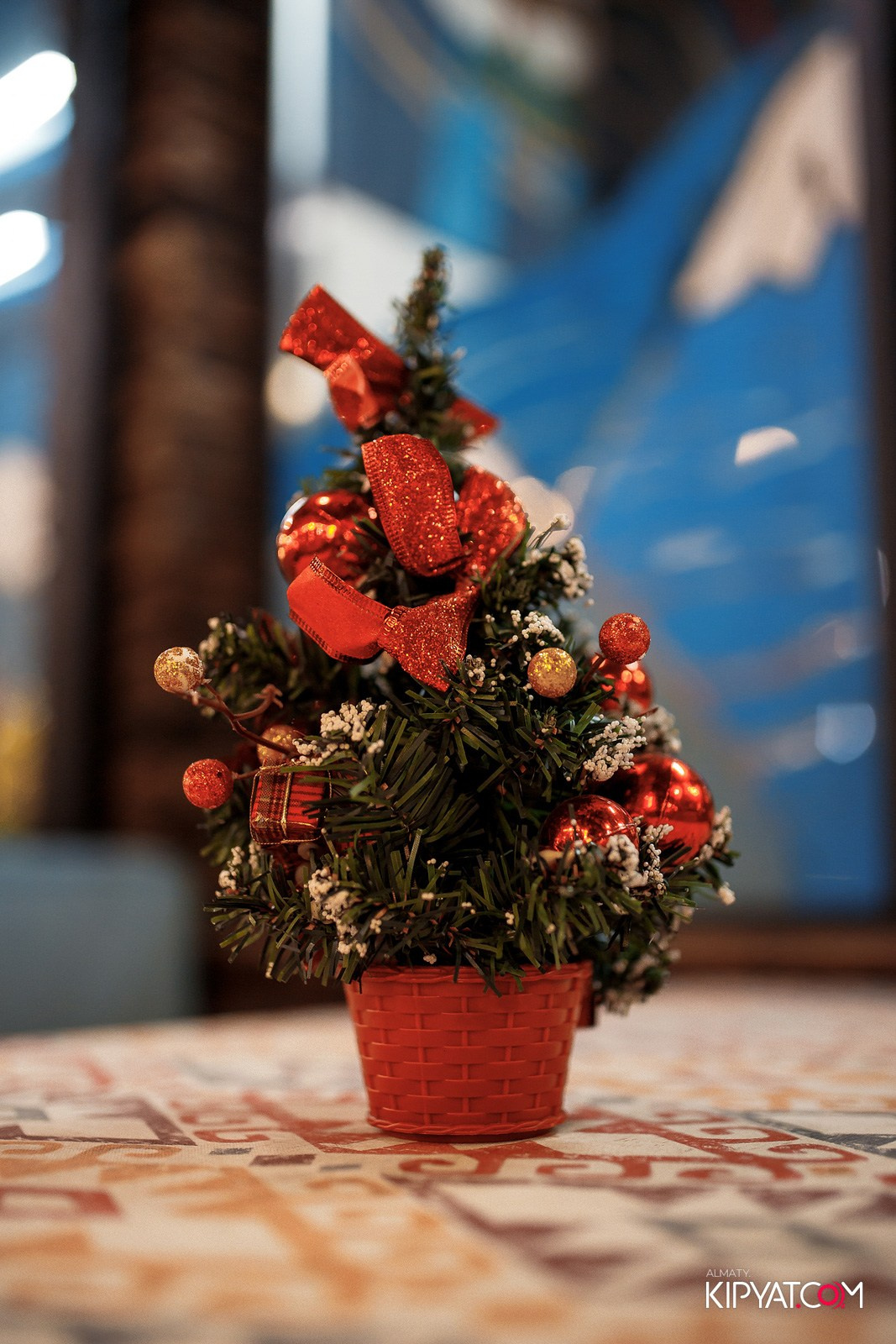 MODI RESTORANCHIK. КИПЯТКОМ АЛМАТЫ!