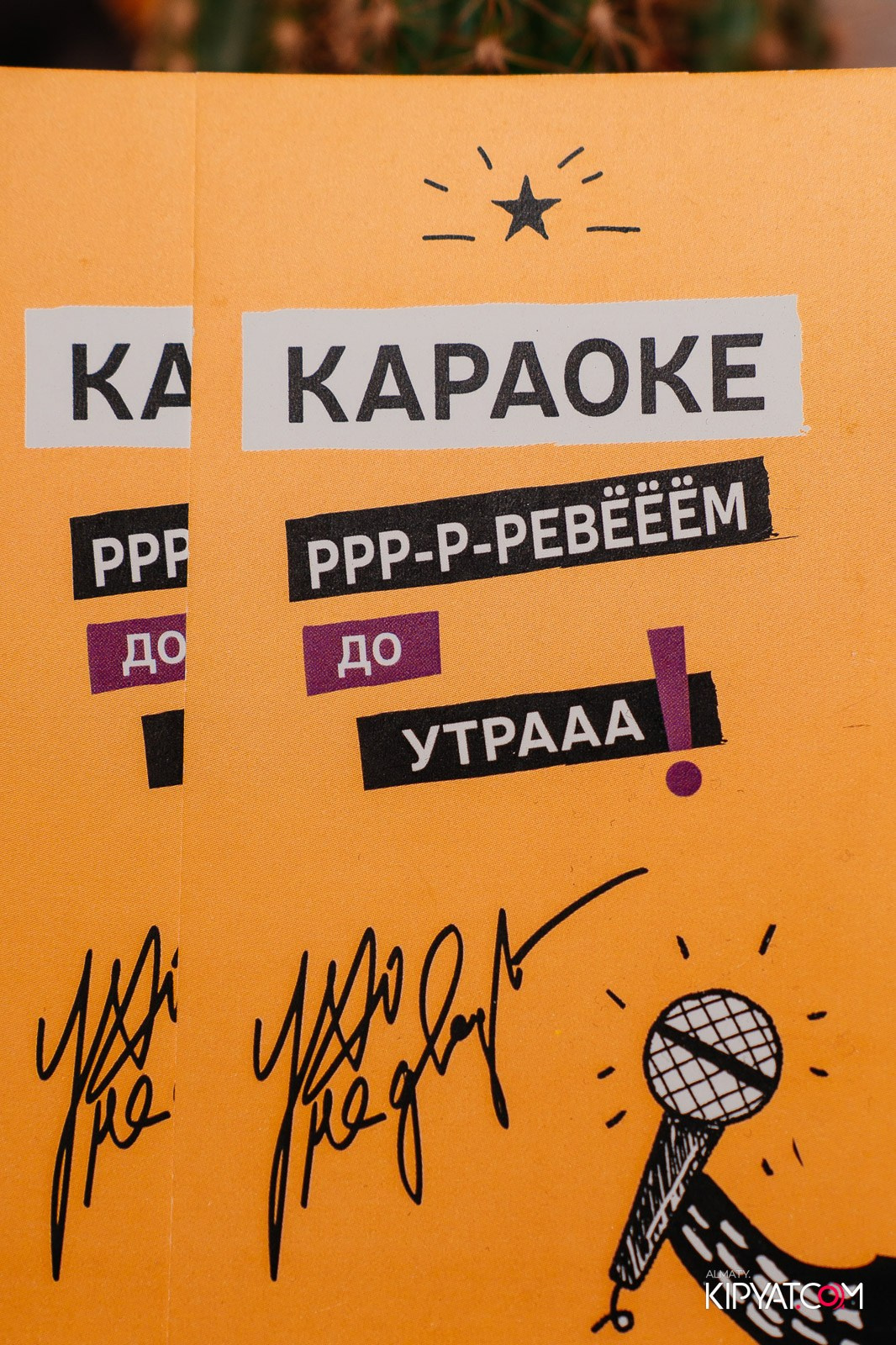 УХО И МЕДВЕДЬ НА ГАГАРИНА. КИПЯТКОМ АЛМАТЫ!