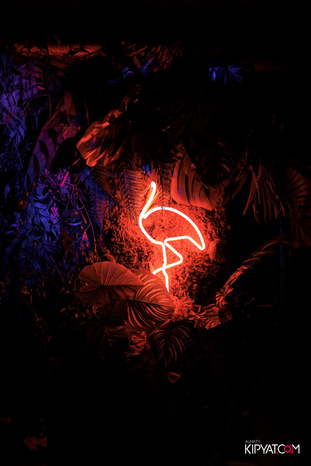 OLOVO НА САТПАЕВА. КИПЯТКОМ АЛМАТЫ! Фотосъемка мероприятий в Алматы