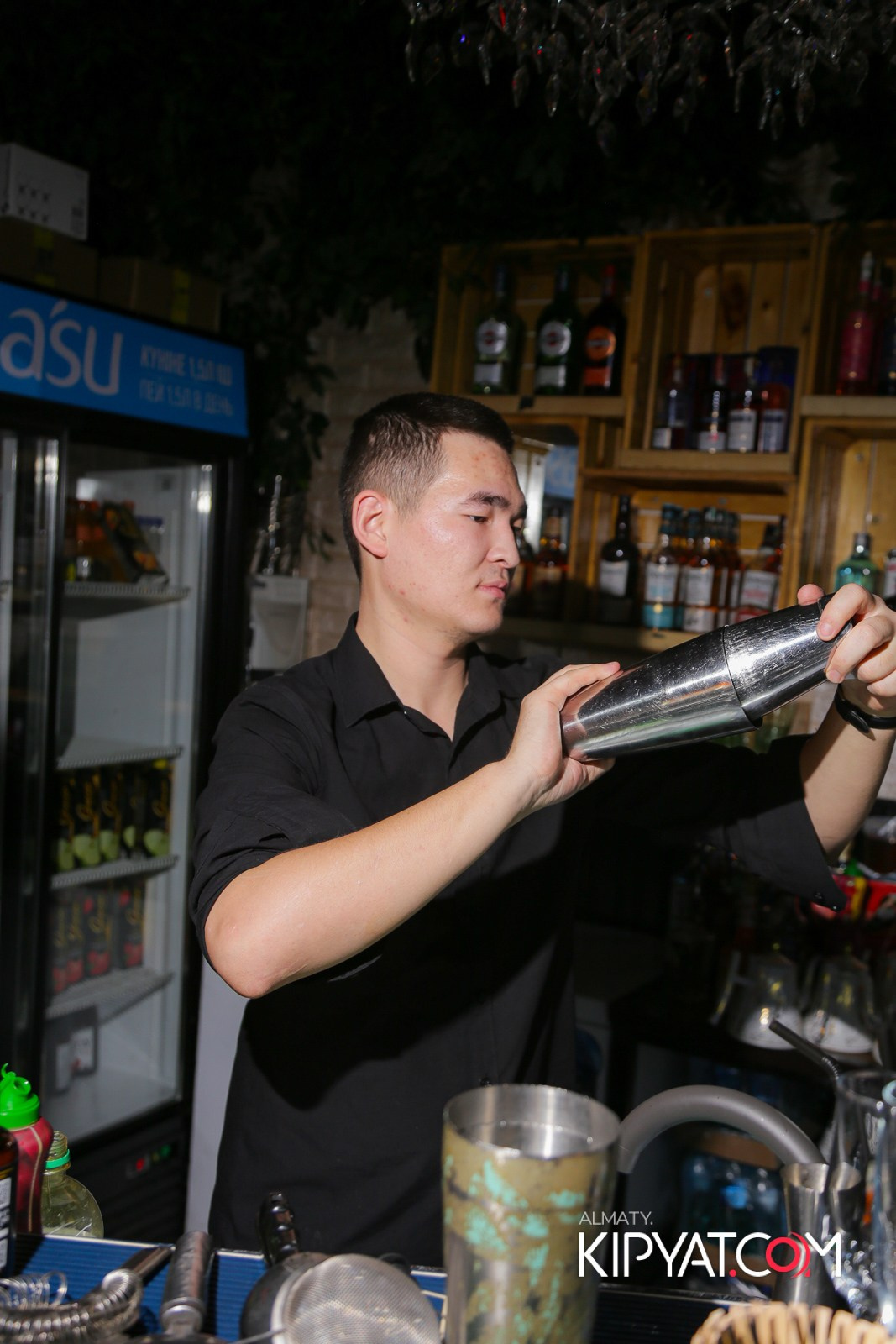 УХО И МЕДВЕДЬ НА САИНА. КИПЯТКОМ АЛМАТЫ!