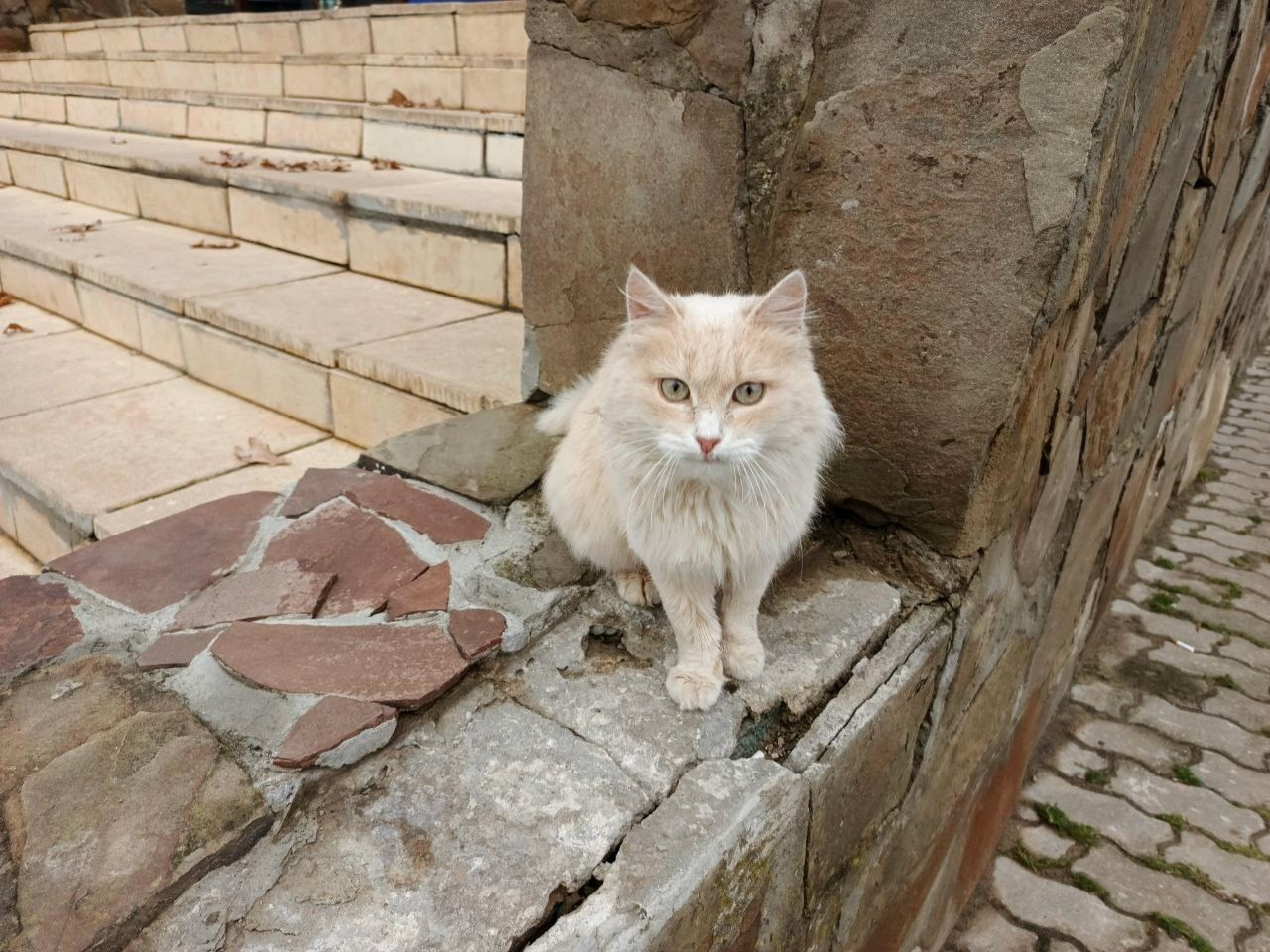 Александров. Экскурсионная поездка | 09.11.2024. Галерея Фантим