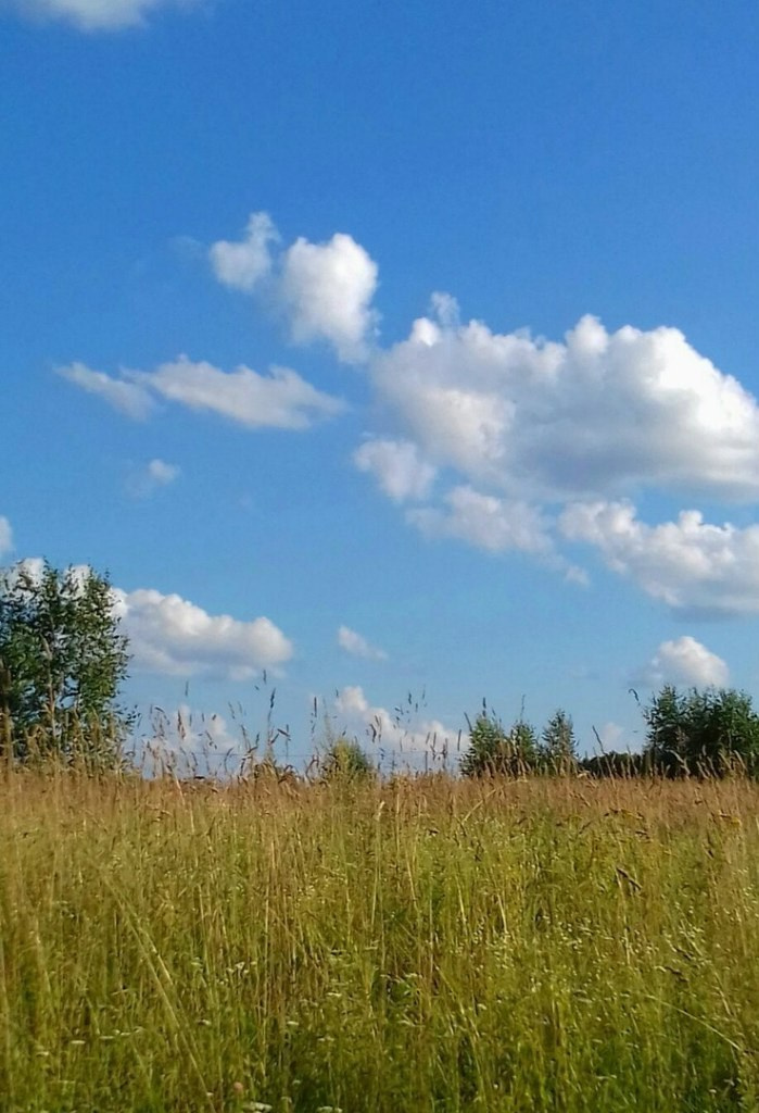 Походная романтика 20! Взвейтесь кострами… | 29-31.07.2016. Галерея Фантим