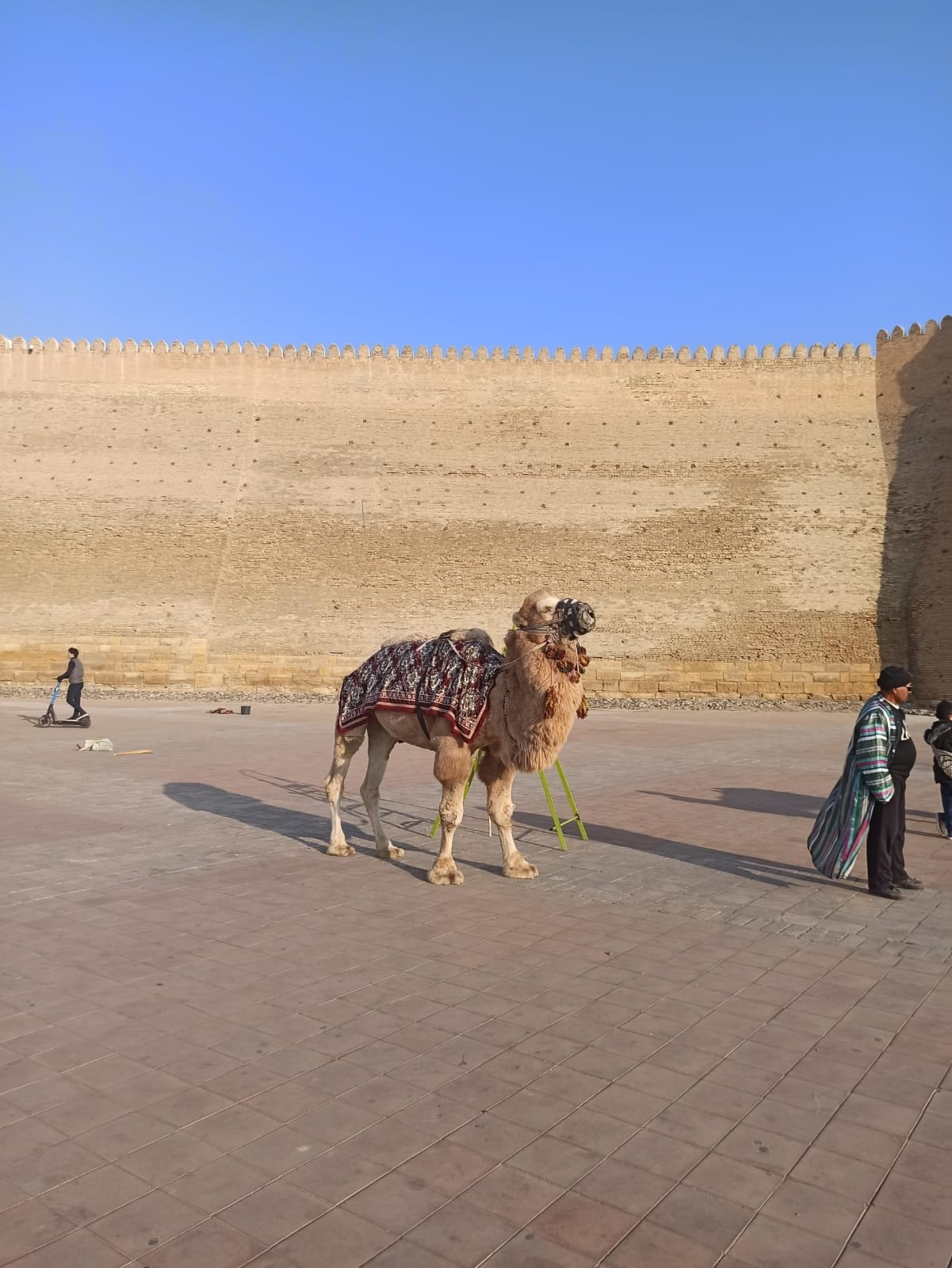 Сказочный Узбекистан | 14 — 17.11.2024. Галерея Фантим