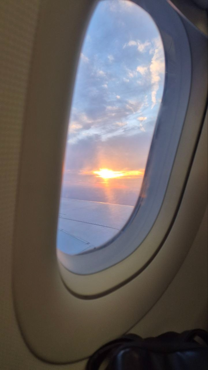 Шри-Ланка | 31.01 — 10.02.2025. Галерея Фантим