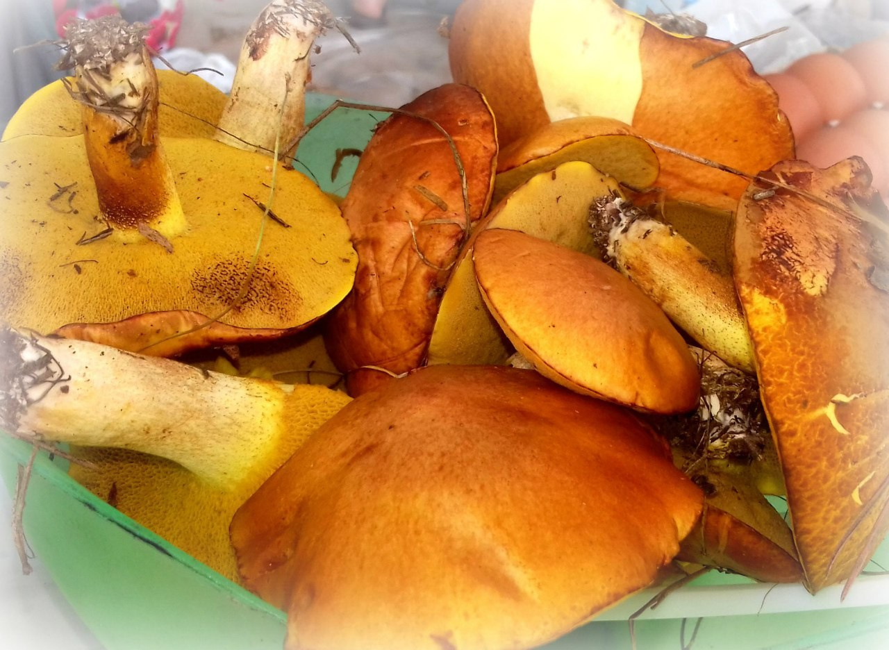 Походная романтика 20! Взвейтесь кострами… | 29-31.07.2016. Галерея Фантим