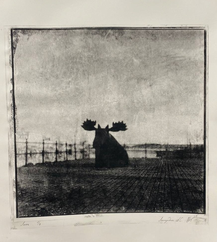 Работы. Об авторе