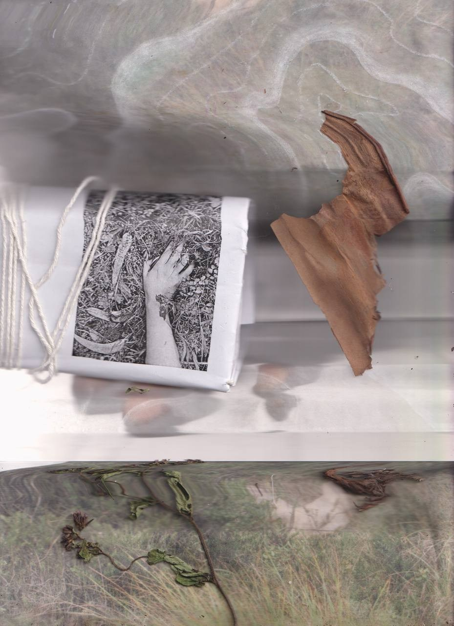 SEDIMENTS AND FOSSILS. Xexexena.ru