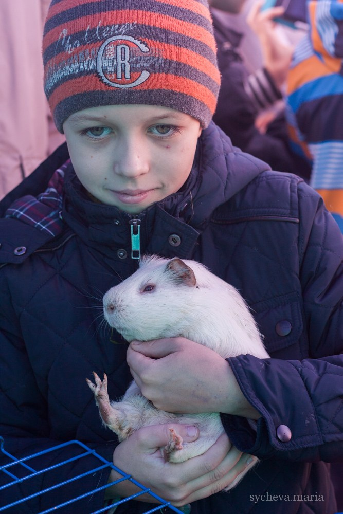 Ярмарка талантов. Детский и семейный фотограф, фотограф мероприятий Нижний Новгород