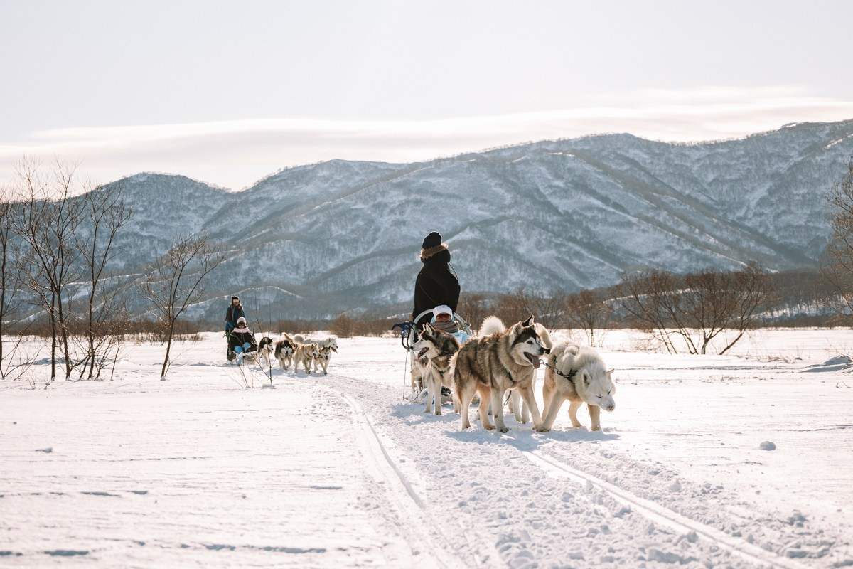 Камчатка. Главная
