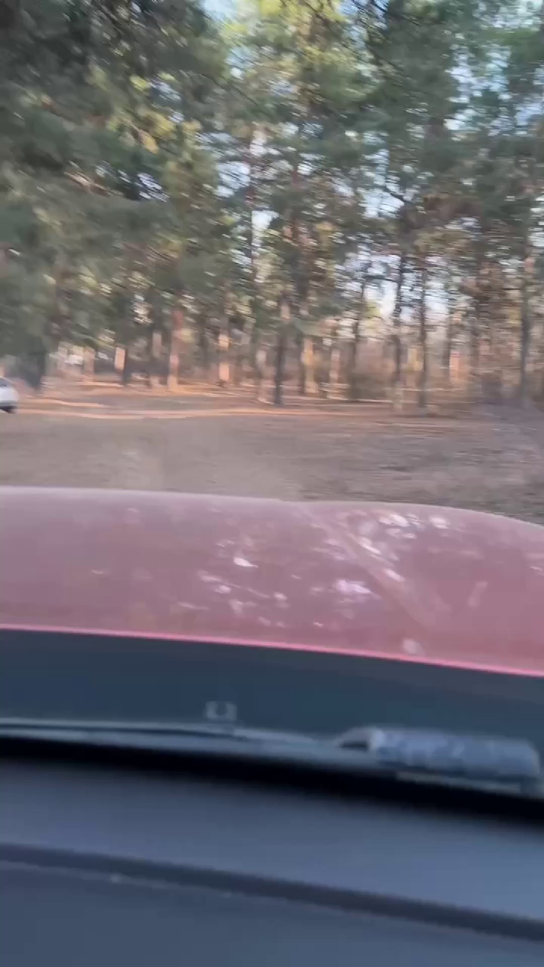 ЖК Приозерный. Das House