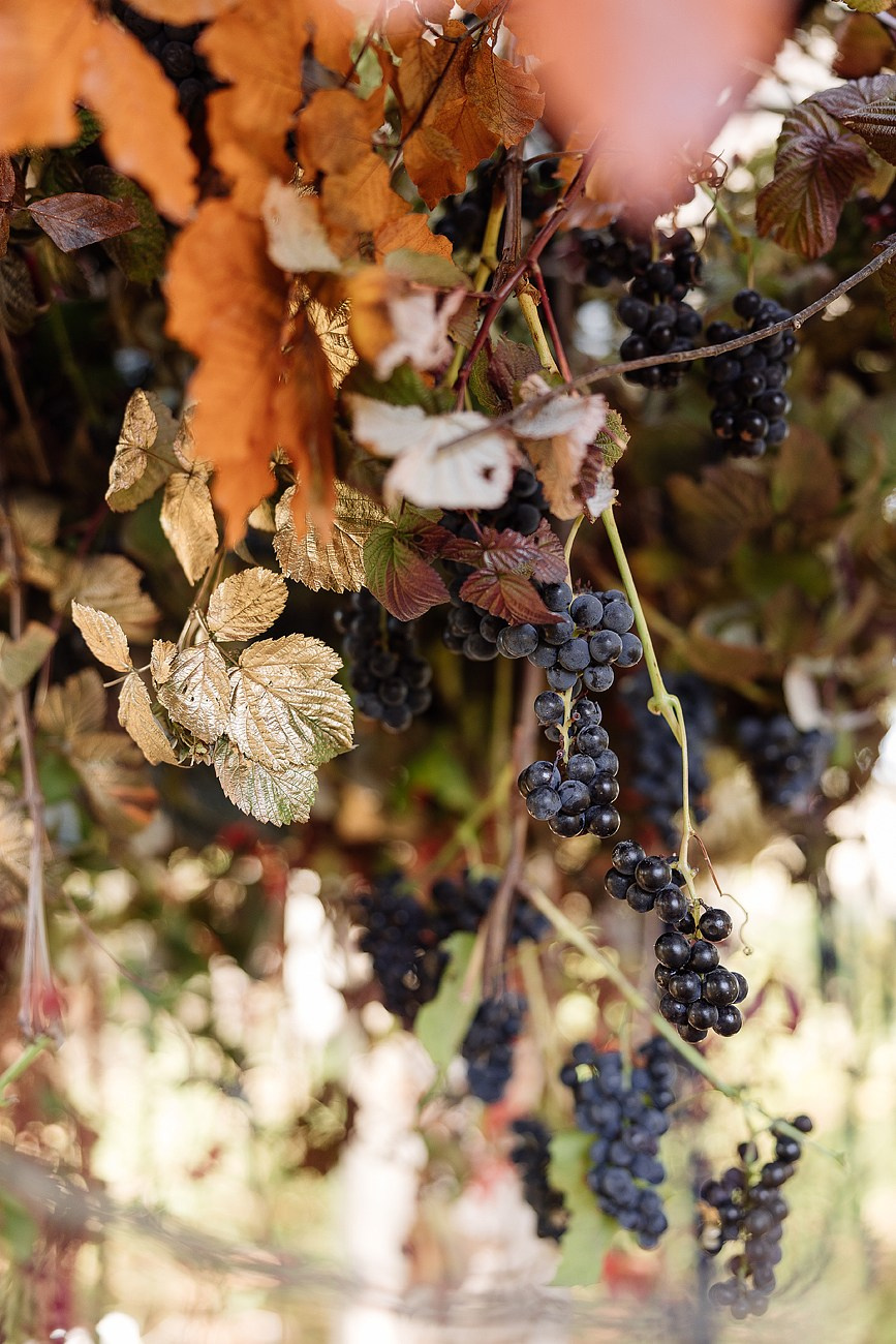 DECADANCE. Свадебный и семейный фотограф Москва Екатерина Верижникова