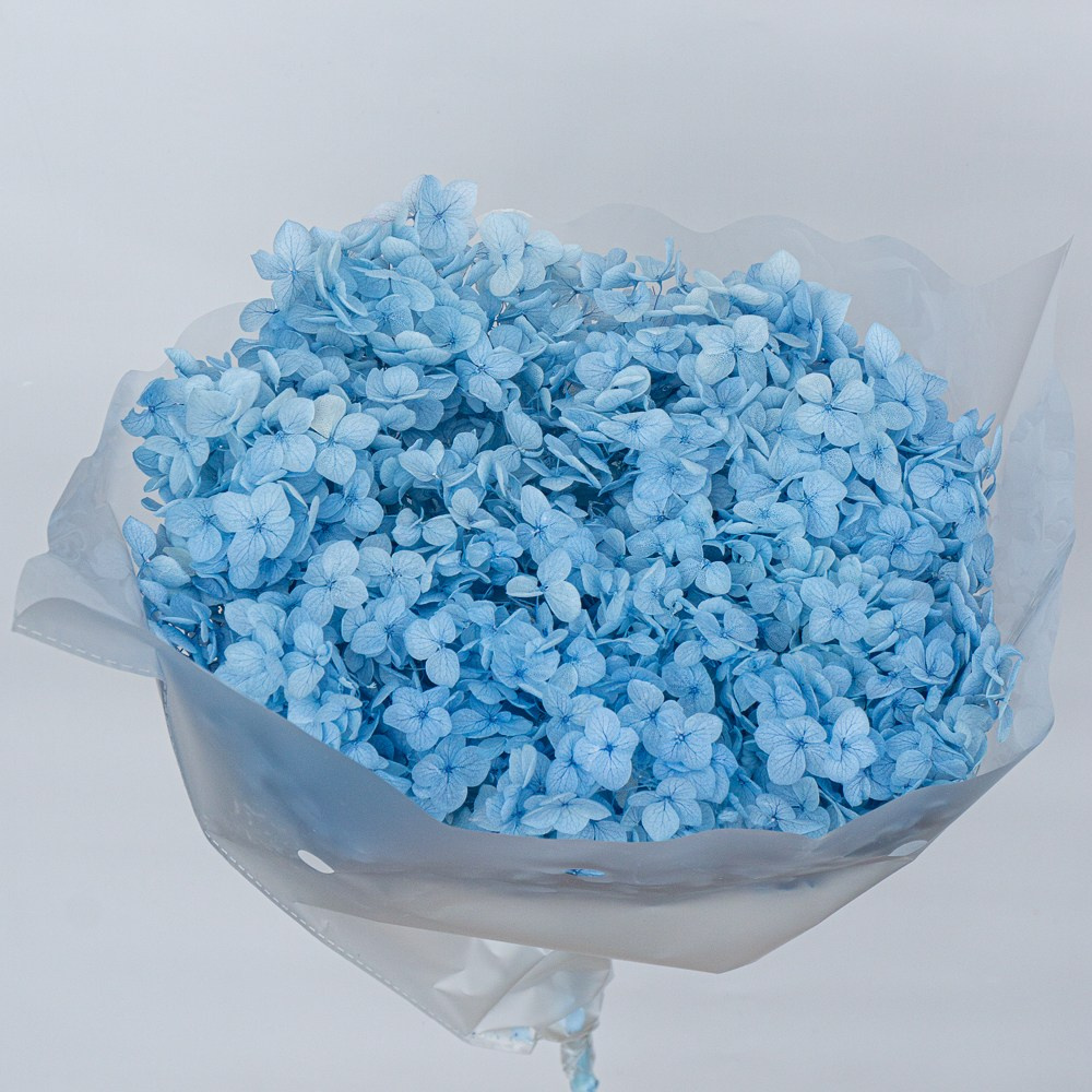 Сухоцветы. Фотограф в Екатеринбурге Яна Круташова