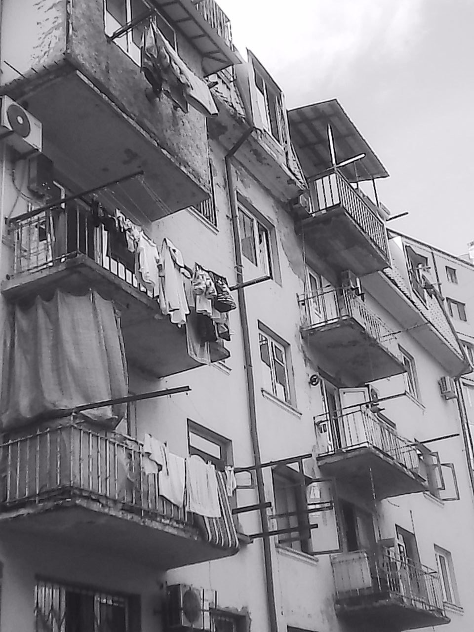 «Крошка 🐣». Anita_photo