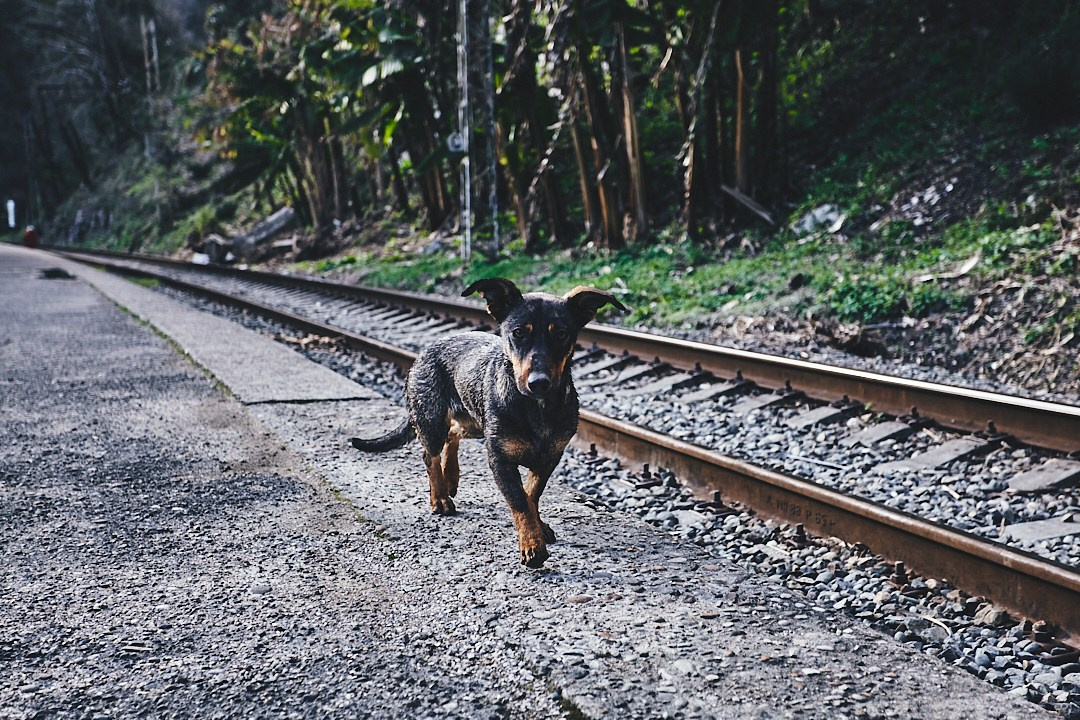 Фотографии с поездки в Абхазию в Новый Афон. Фотограф в Сочи Катя Гончарова