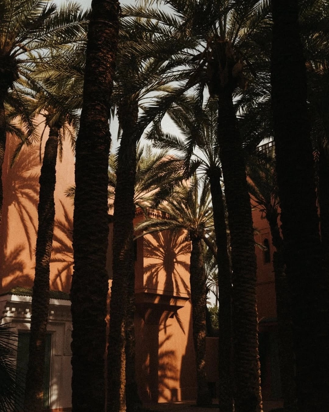 Marrakesh, Majorelle & Yves Saint Laurent | The Geography of Inspiration