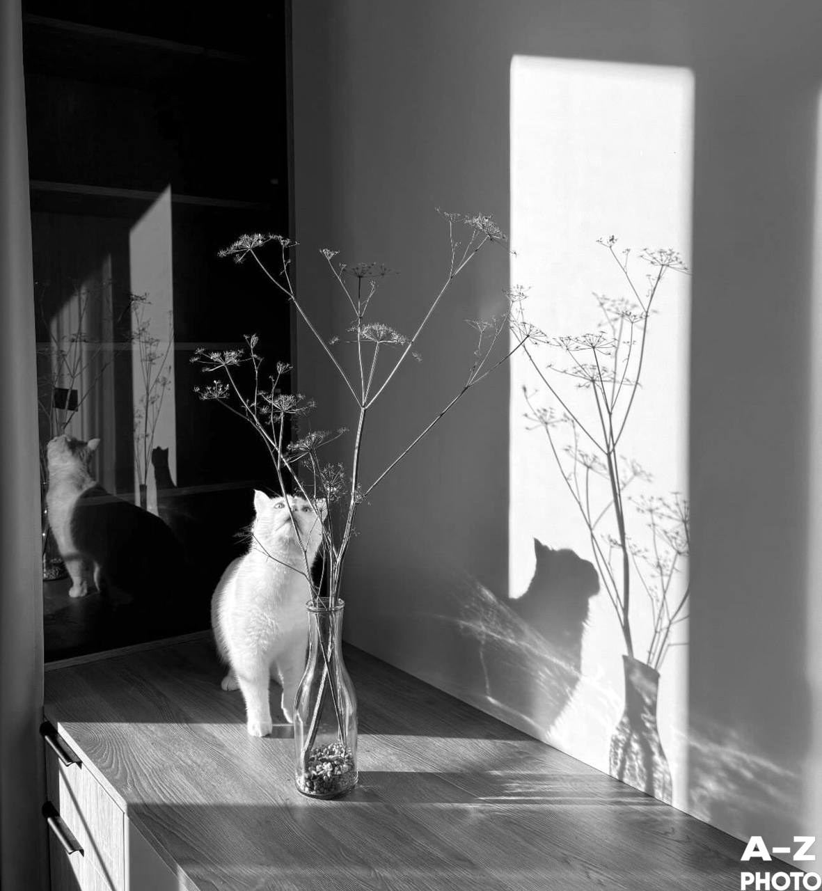 Фото недели 18.11.2025. Женский семейный фотограф Тула Москва Захарова Анна