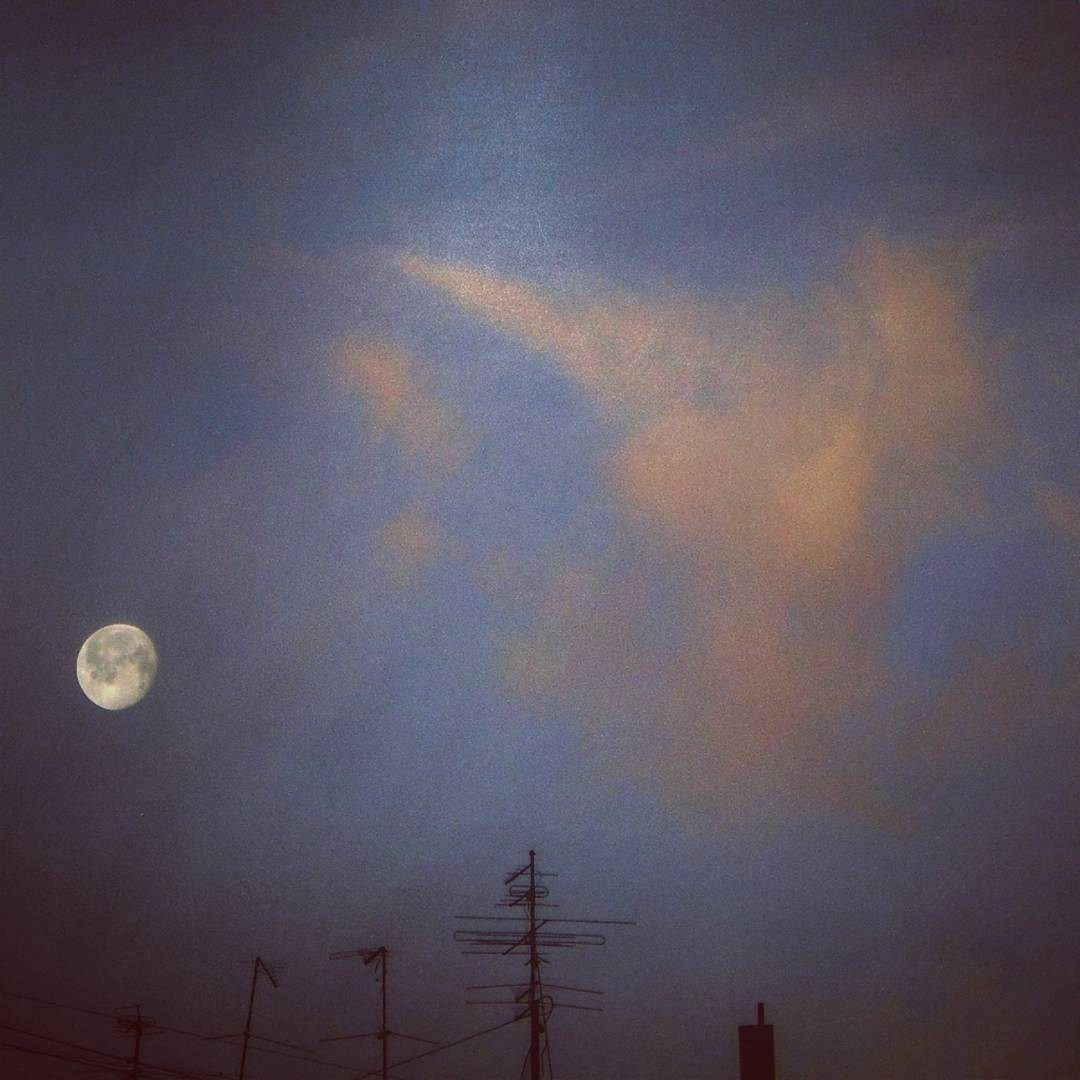 Moon, Stars, Sun and Sky. Natalia Carney — Photographer, Model, Blogger