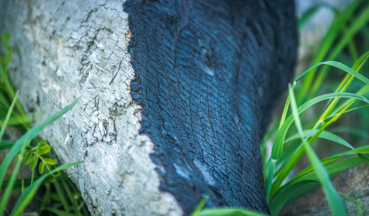 Хабаровск-Совгавань. Фотограф в Хабаровске. Фотография за 24 часа