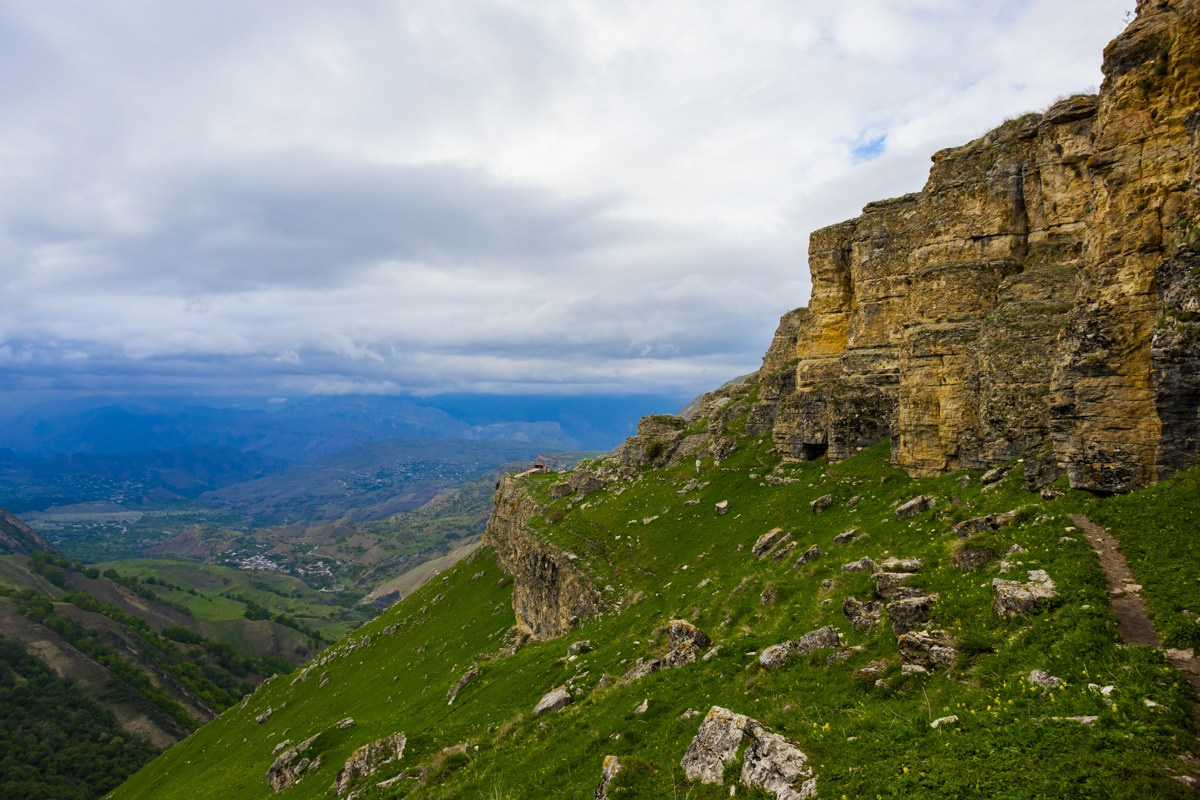 Каменная чаша. Photomantis