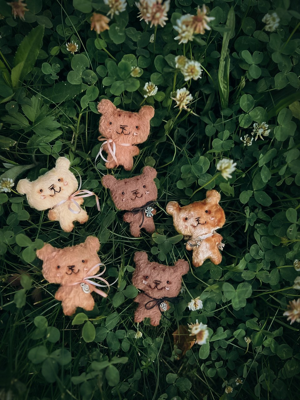 Тедди. Фотограф Ольга Сальманович