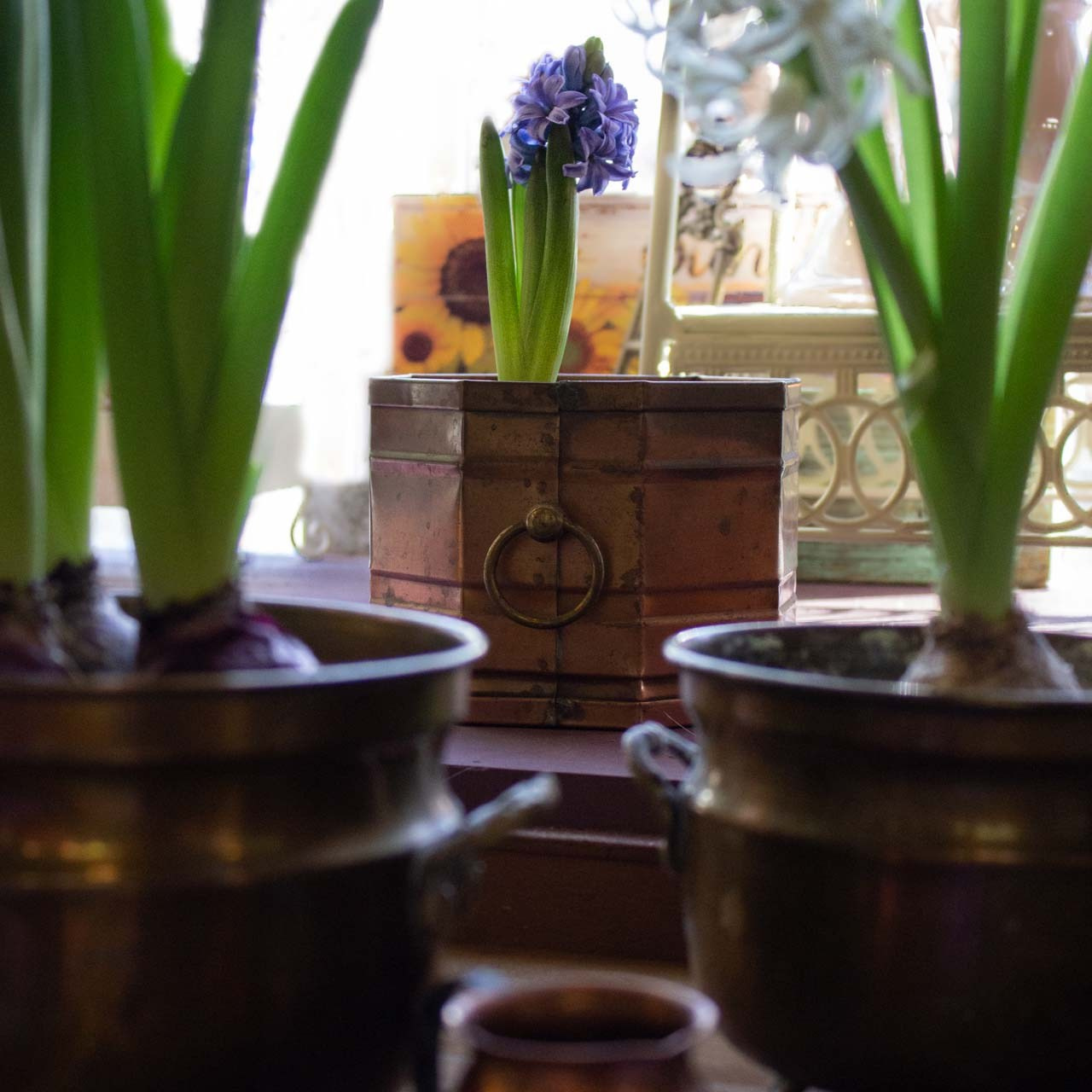 Семейный и детский фотограф в Ярославле