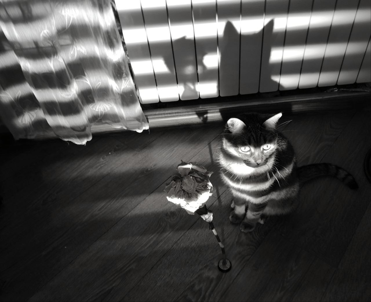 Марафон «Формула креативности». Женский семейный фотограф Тула Москва Захарова Анна