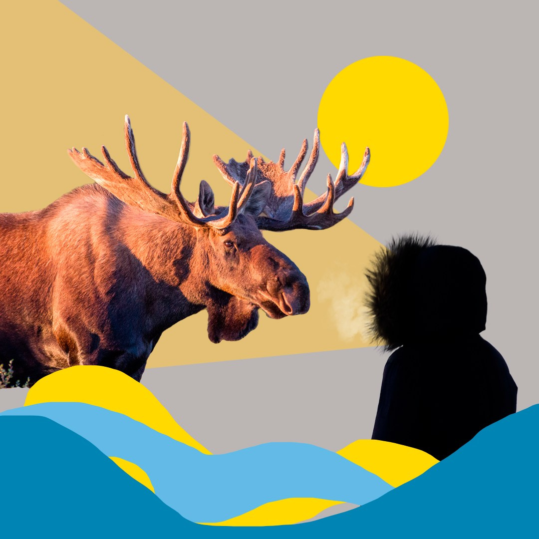 Коллажи из фотографий. Колентеева Наталья/фотограф