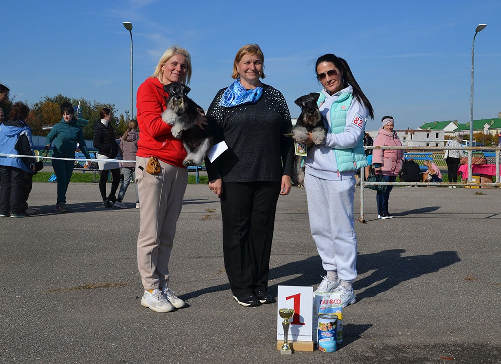 Питомник Делинсо Бэлэнс, щенки цвергшнауцера, купить щенка цвергшнауцера, питомник цвергшнауцеров, кобель цвергшнауцера для вязки, щенок цвергшнауцера, питомник цвергшнауцеров, черный с серебром, цверг, лучший питомник в беларуси