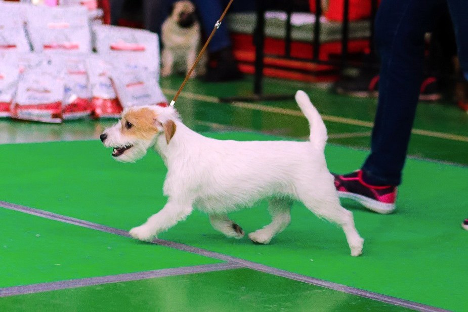 Lovely-Orange Millenium