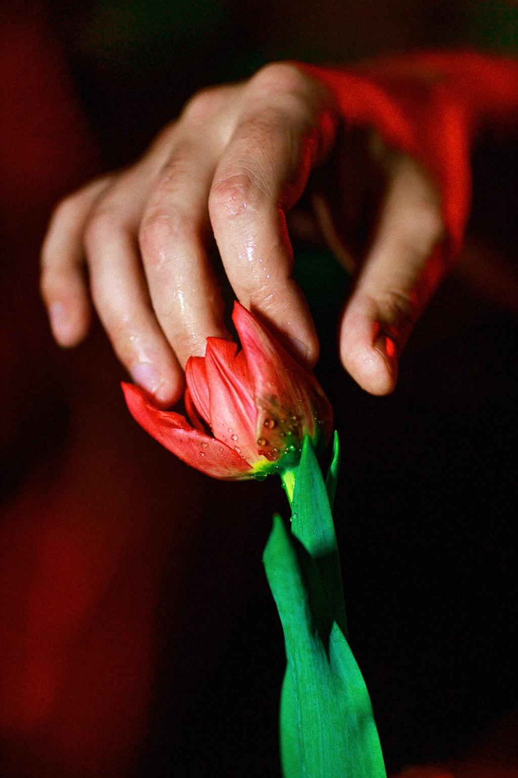 Красная нить. Фотокоуч Катерина Каледина