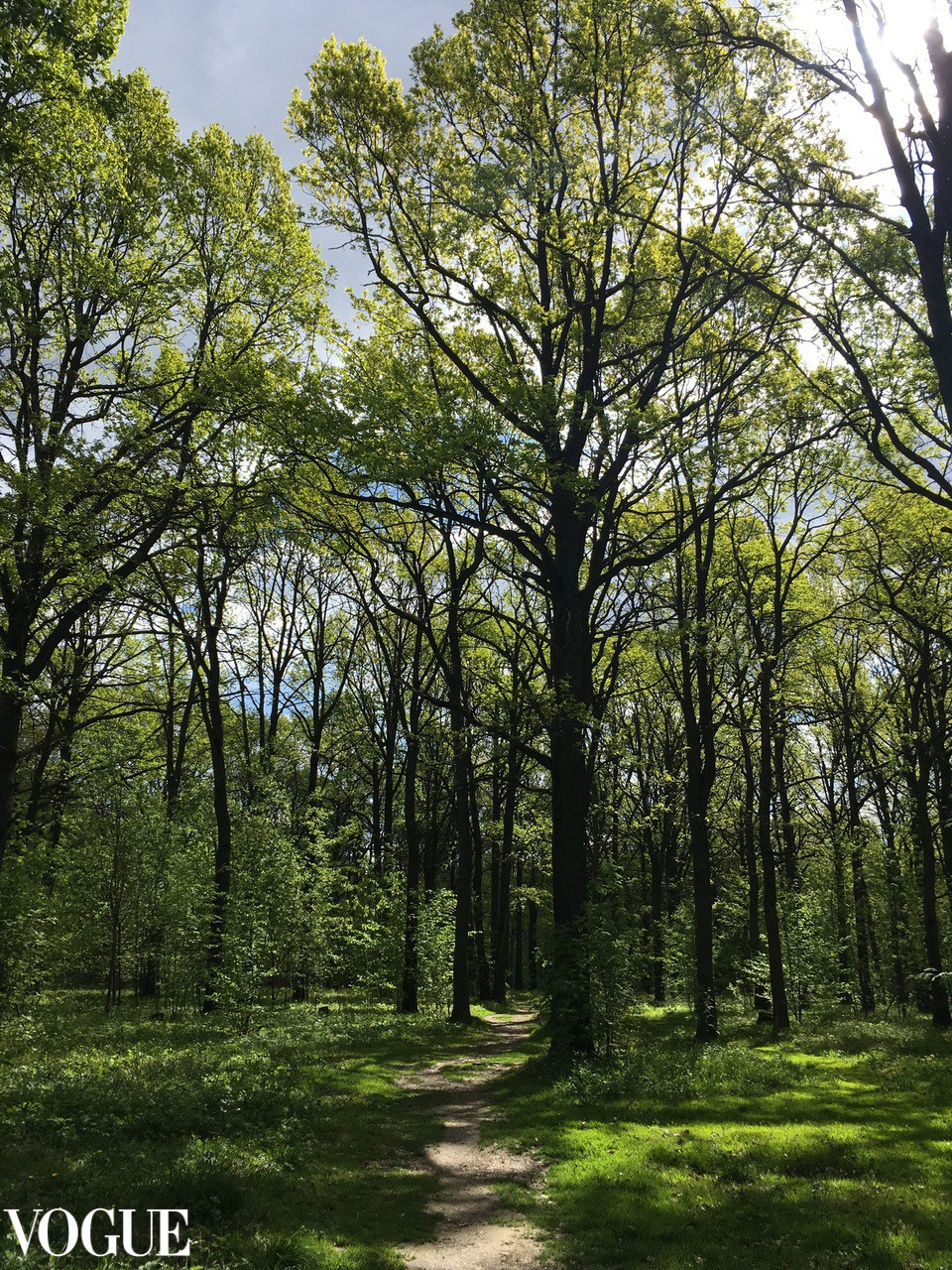 Публикации. Александра Мельник I Фотограф Москва