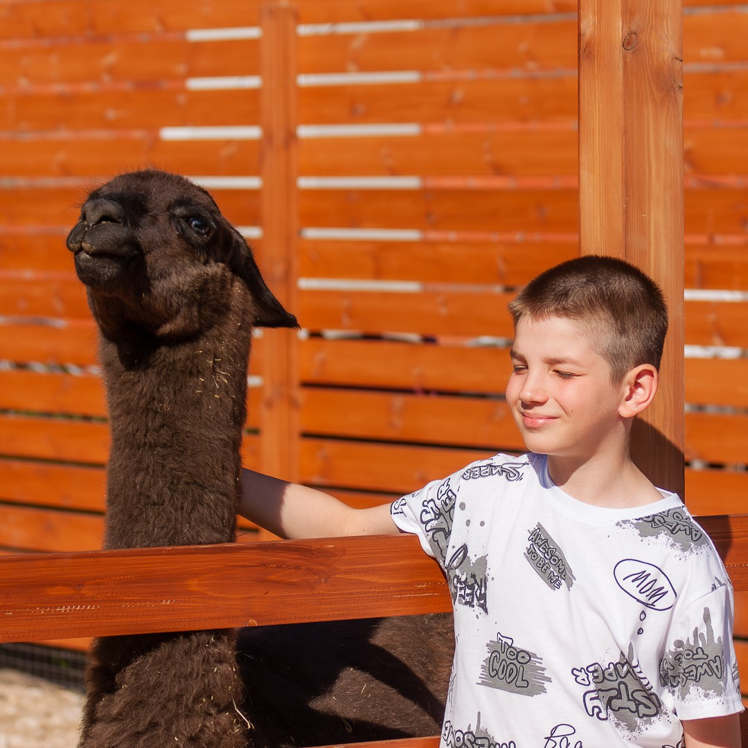 Фото с животными. Портретный фотограф (Казань)