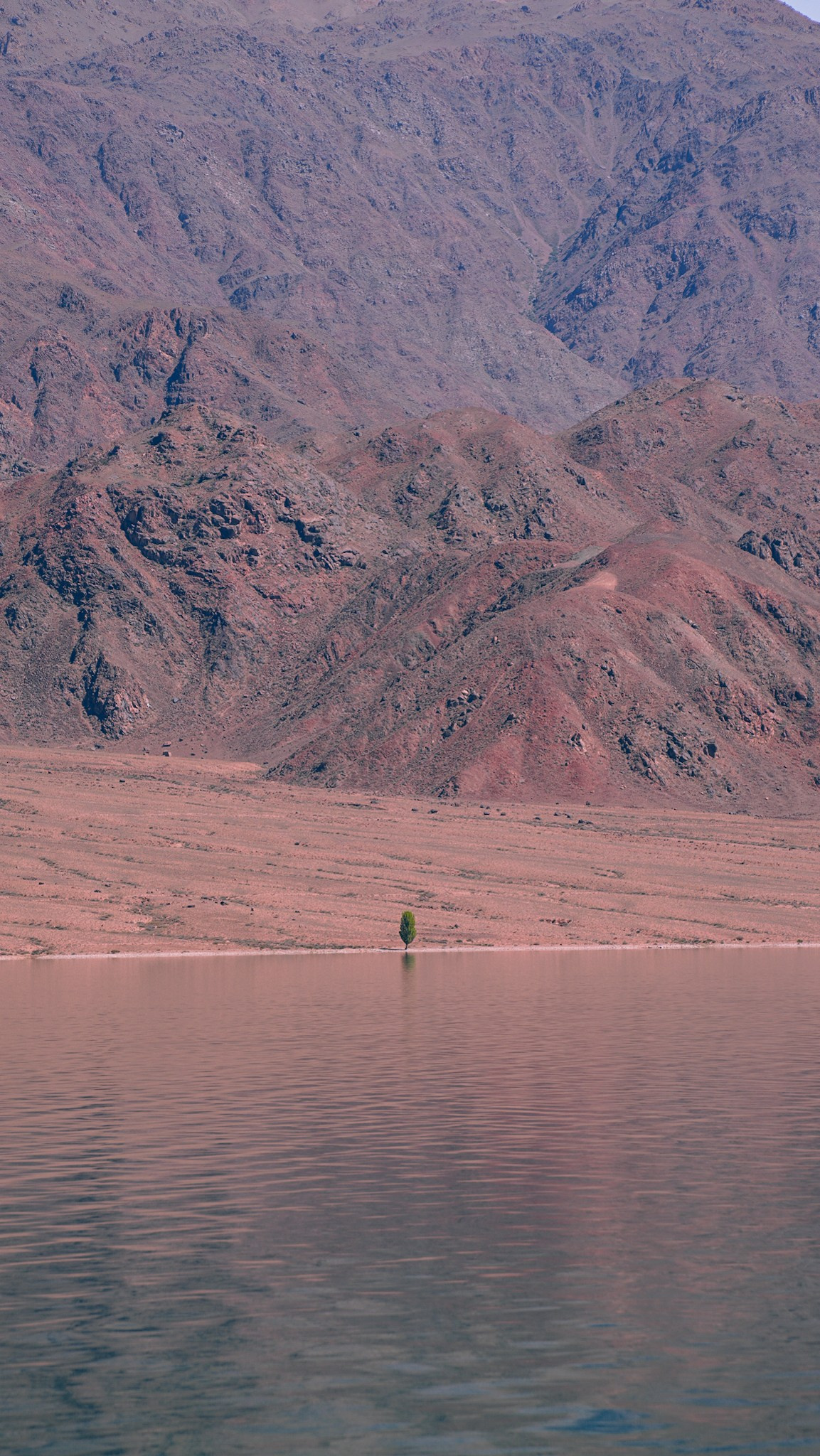 Кыргызстан. Человек с фотокамерой