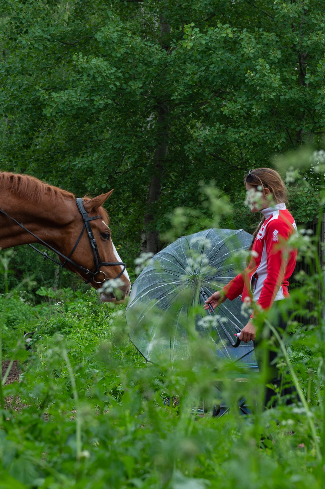 Конюшня. Мир живой фотографии о Вас и для Вас