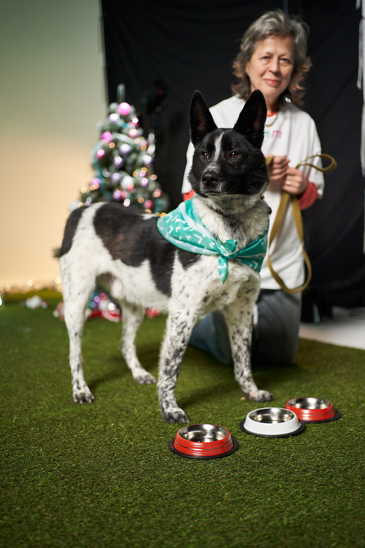 Проект «Андердоги» для коллаборации Фонда «Рэй», Sports.ru, Пари. Фотограф анималист Москва Дарья