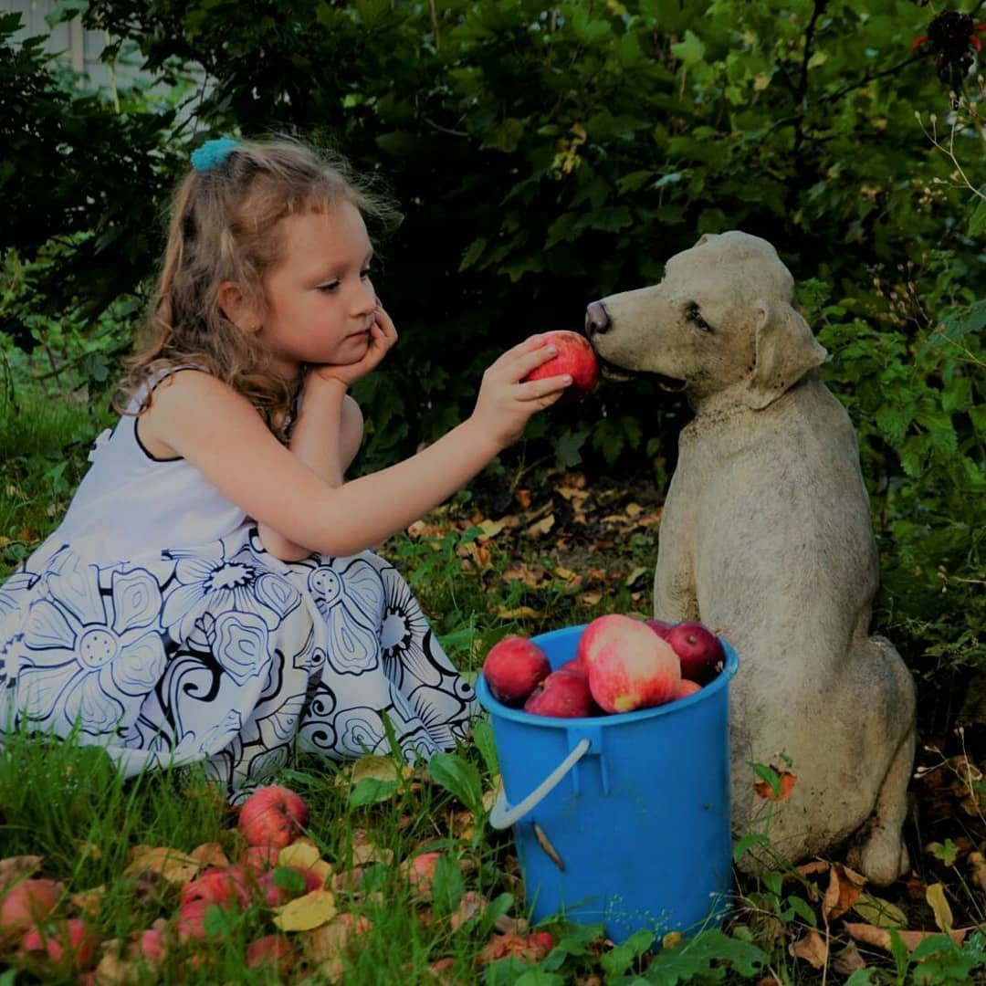 Семейный фотограф